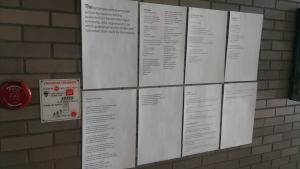 1939803_10101417629336544_862259744_n